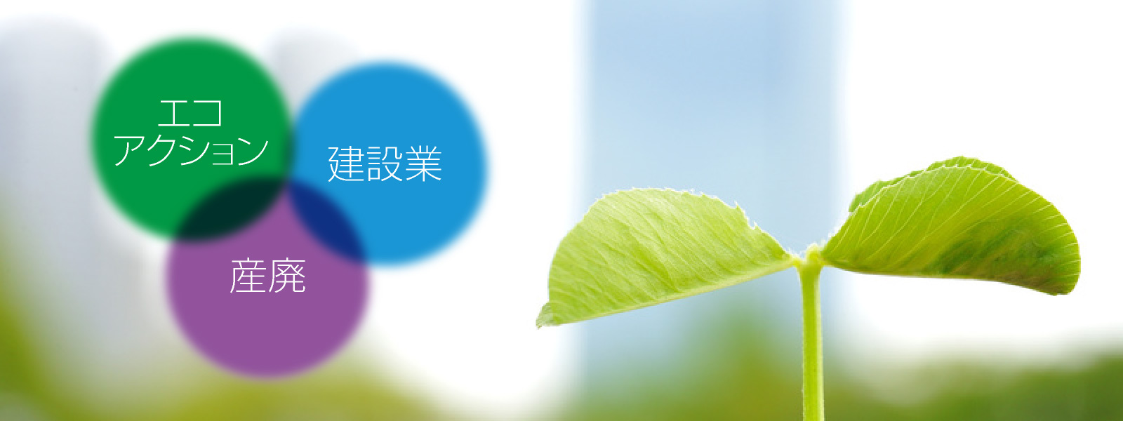 エコアクション21